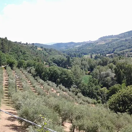 Casa di campagna Torre Del Colle Bevagna